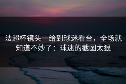 法超杯镜头一给到球迷看台，全场就知道不妙了：球迷的截图太狠