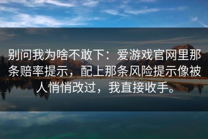 别问我为啥不敢下：爱游戏官网里那条赔率提示，配上那条风险提示像被人悄悄改过，我直接收手。