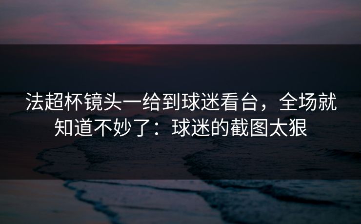 法超杯镜头一给到球迷看台，全场就知道不妙了：球迷的截图太狠