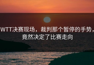 WTT决赛现场，裁判那个暂停的手势，竟然决定了比赛走向