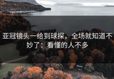 亚冠镜头一给到球探，全场就知道不妙了：看懂的人不多