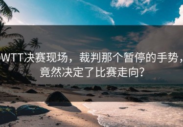 WTT决赛现场，裁判那个暂停的手势，竟然决定了比赛走向？