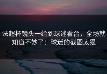 法超杯镜头一给到球迷看台，全场就知道不妙了：球迷的截图太狠
