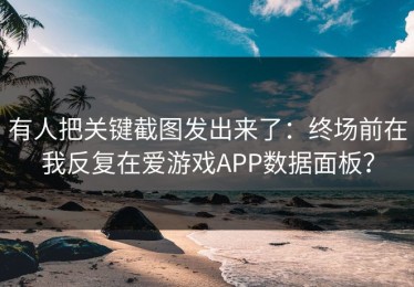 有人把关键截图发出来了：终场前在我反复在爱游戏APP数据面板？