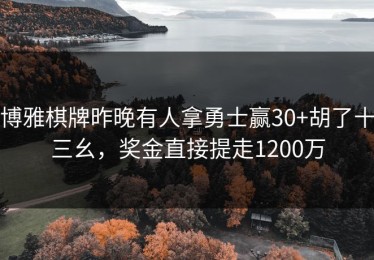 博雅棋牌昨晚有人拿勇士赢30+胡了十三幺，奖金直接提走1200万