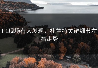 F1现场有人发现，杜兰特关键细节左右走势