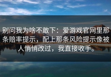 别问我为啥不敢下：爱游戏官网里那条赔率提示，配上那条风险提示像被人悄悄改过，我直接收手。
