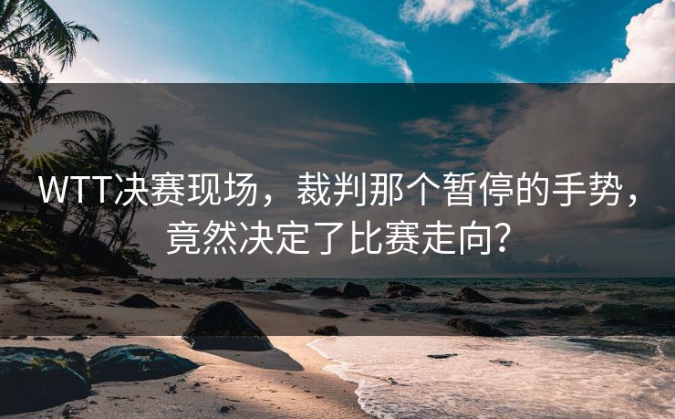 WTT决赛现场，裁判那个暂停的手势，竟然决定了比赛走向？