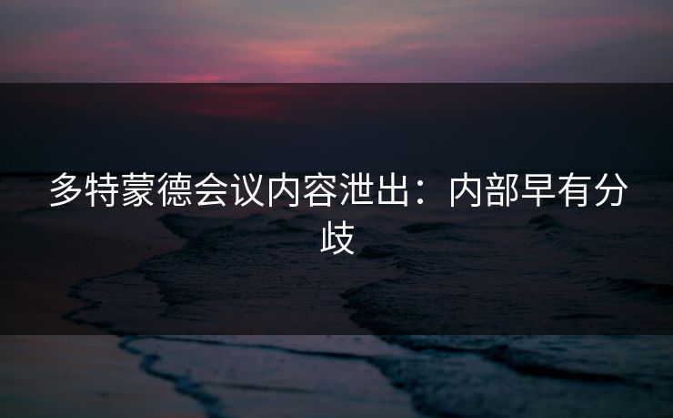 多特蒙德会议内容泄出：内部早有分歧