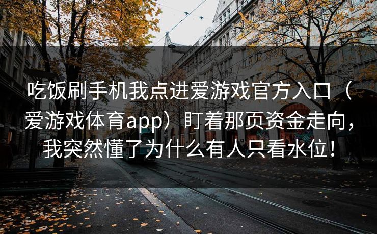 吃饭刷手机我点进爱游戏官方入口（爱游戏体育app）盯着那页资金走向，我突然懂了为什么有人只看水位！