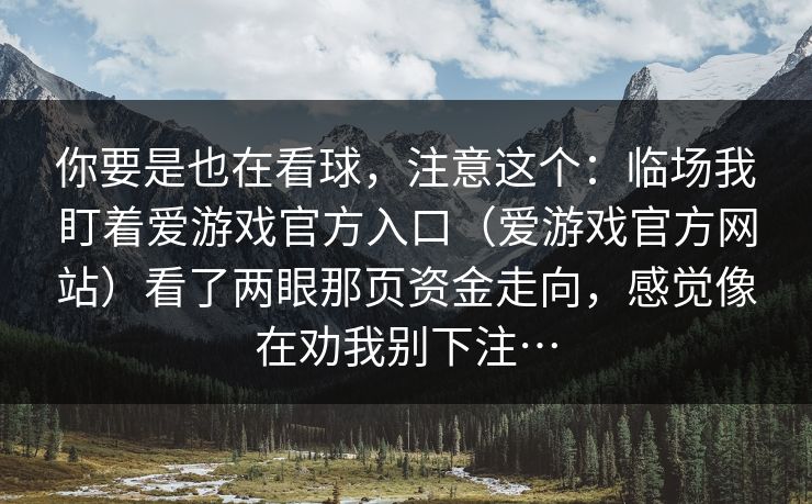 你要是也在看球，注意这个：临场我盯着爱游戏官方入口（爱游戏官方网站）看了两眼那页资金走向，感觉像在劝我别下注…