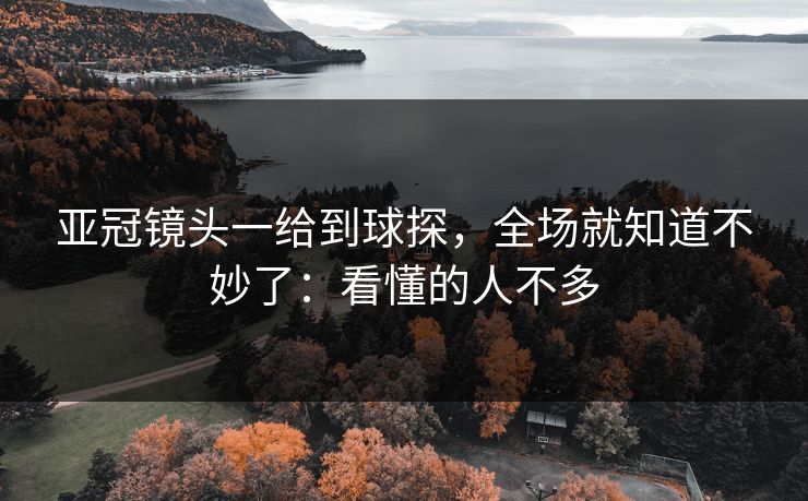 亚冠镜头一给到球探，全场就知道不妙了：看懂的人不多